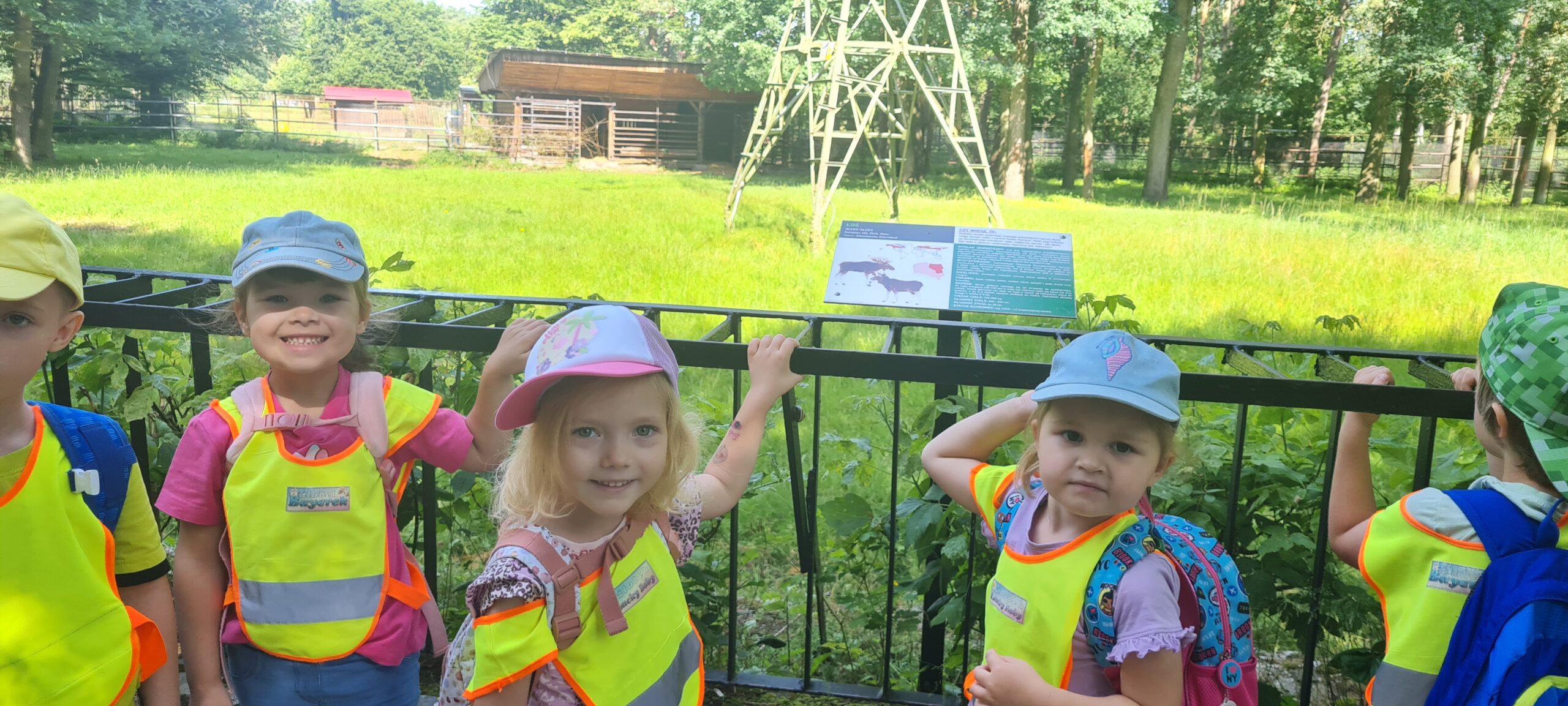 18.06.2024r. Wycieczka do Zoo w Myslęcinku – Króliczki 😀